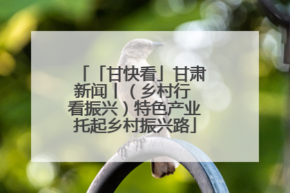 「甘快看」甘肃新闻丨（乡村行 看振兴）特色产业托起乡村振兴路