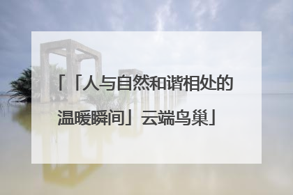 「人与自然和谐相处的温暖瞬间」云端鸟巢