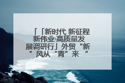 「新时代 新征程 新伟业·高质量发展调研行」外贸“新”风从“青”来 “双向奔赴”启新程