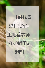 「时代脊梁」聂军：土地营养师守护稻田28年