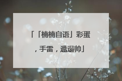「楠楠自语」彩蛋，手雷，邋遢帅