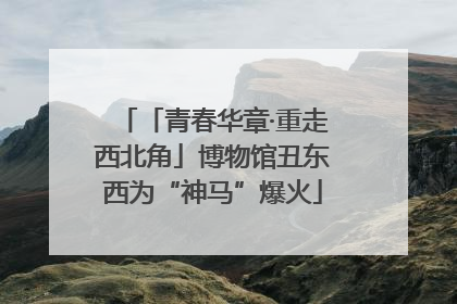「青春华章·重走西北角」博物馆丑东西为“神马”爆火