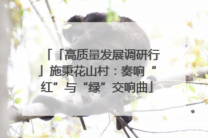 「高质量发展调研行」施秉花山村：奏响“红”与“绿”交响曲