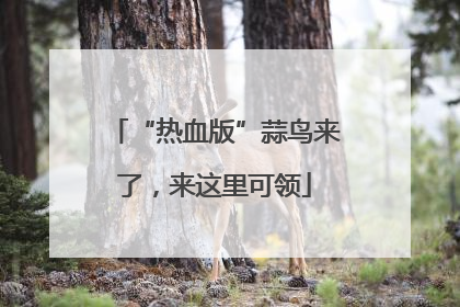 “热血版”蒜鸟来了，来这里可领