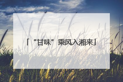 “甘味”乘风入湘来