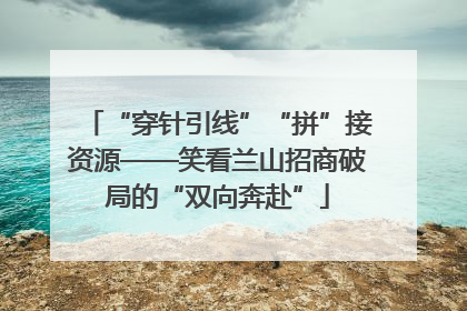 “穿针引线”“拼”接资源——笑看兰山招商破局的“双向奔赴”