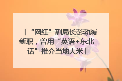 “网红”副局长彭勃履新职，曾用“英语+东北话”推介当地大米