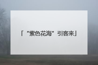 “紫色花海”引客来