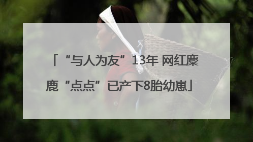 “与人为友”13年 网红麋鹿“点点”已产下8胎幼崽
