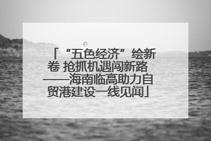 “五色经济”绘新卷 抢抓机遇闯新路——海南临高助力自贸港建设一线见闻