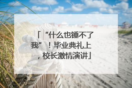 “什么也锤不了我”！毕业典礼上，校长激情演讲