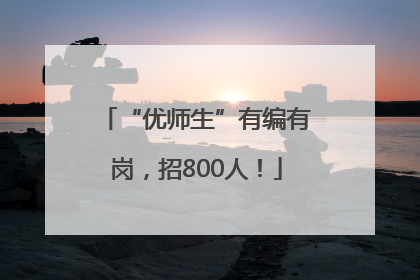 “优师生”有编有岗，招800人！