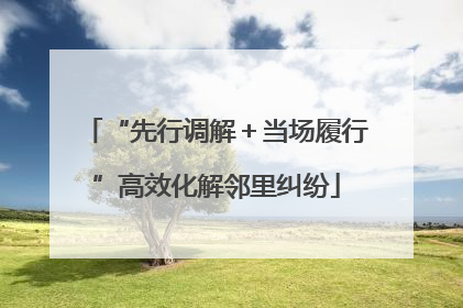 “先行调解＋当场履行”高效化解邻里纠纷