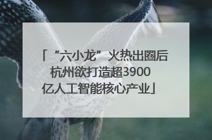 “六小龙”火热出圈后 杭州欲打造超3900亿人工智能核心产业