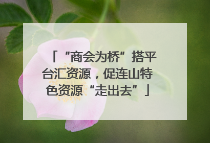 “商会为桥”搭平台汇资源，促连山特色资源“走出去”