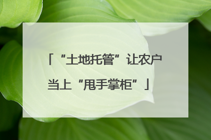 “土地托管”让农户当上“甩手掌柜”