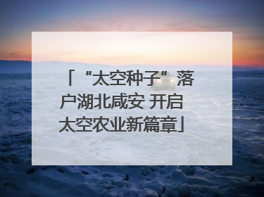 “太空种子”落户湖北咸安 开启太空农业新篇章