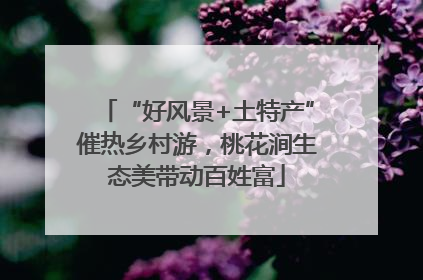 “好风景+土特产”催热乡村游，桃花涧生态美带动百姓富