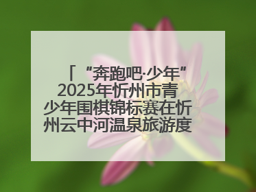 “奔跑吧·少年”2025年忻州市青少年围棋锦标赛在忻州云中河温泉旅游度假区圆满举办