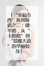 “幸福市西”系列报道之二：盛华路，从“卡脖路”到“景观大道”的华丽转身