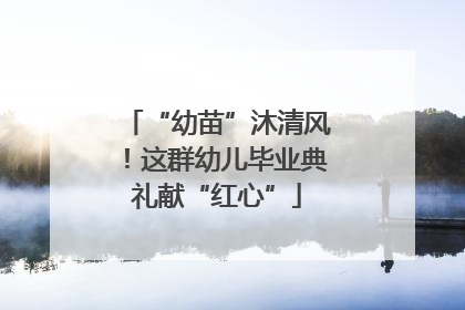 “幼苗”沐清风！这群幼儿毕业典礼献“红心”