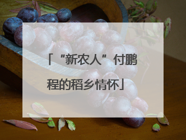 “新农人”付鹏程的稻乡情怀