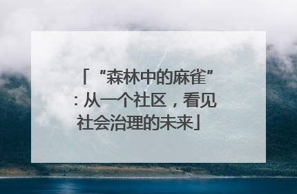 “森林中的麻雀”：从一个社区，看见社会治理的未来