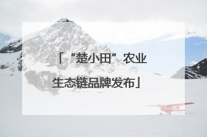 “楚小田”农业生态链品牌发布