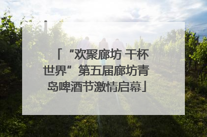 “欢聚廊坊 干杯世界”第五届廊坊青岛啤酒节激情启幕