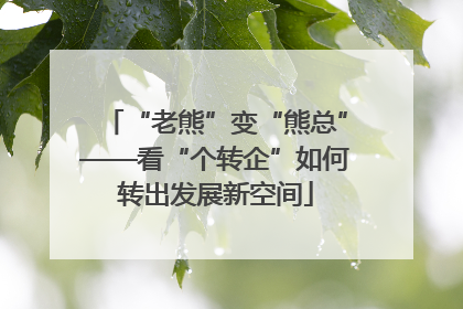 “老熊”变“熊总”——看“个转企”如何转出发展新空间