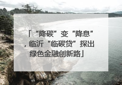 “降碳”变“降息”，临沂“临碳贷”探出绿色金融创新路