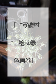 “零碳村” 绘就绿色画卷