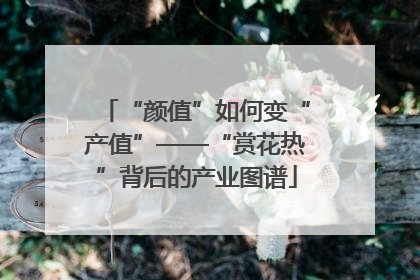 “颜值”如何变“产值”——“赏花热”背后的产业图谱