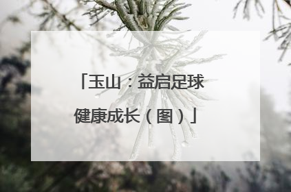 玉山：益启足球 健康成长（图）