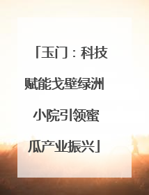 玉门：科技赋能戈壁绿洲 小院引领蜜瓜产业振兴