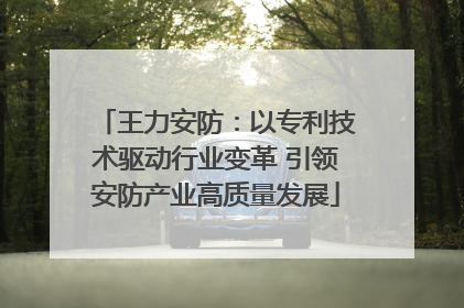 王力安防：以专利技术驱动行业变革 引领安防产业高质量发展
