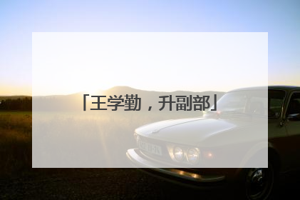 王学勤，升副部