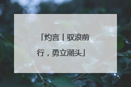 灼言丨驭浪前行，勇立潮头