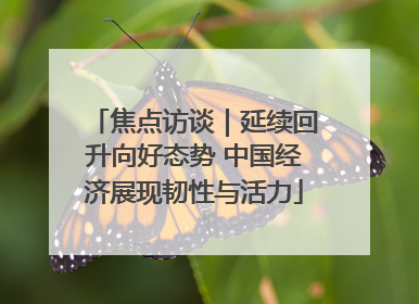 焦点访谈｜延续回升向好态势 中国经济展现韧性与活力