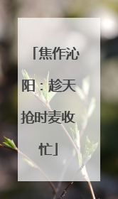 焦作沁阳：趁天抢时麦收忙