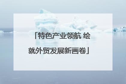 特色产业领航 绘就外贸发展新画卷