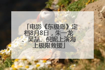 电影《东极岛》定档8月8日，朱一龙、吴磊、倪妮上演海上极限救援