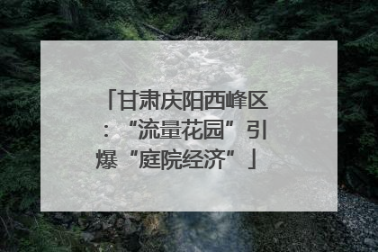 甘肃庆阳西峰区：“流量花园”引爆“庭院经济”