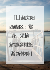 甘肃庆阳西峰区：赏花+采摘 解锁乡村旅游新体验