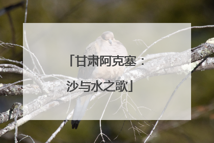甘肃阿克塞：沙与水之歌