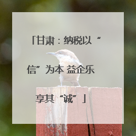 甘肃：纳税以“信”为本 益企乐享其“诚”