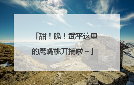 甜！脆！武平这里的鹰嘴桃开摘啦～