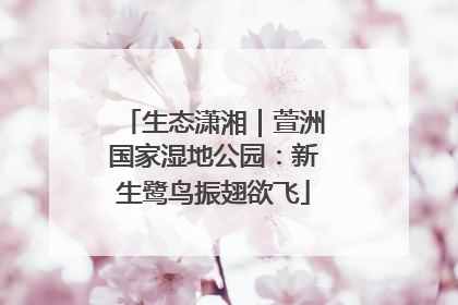 生态潇湘｜萱洲国家湿地公园：新生鹭鸟振翅欲飞