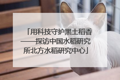 用科技守护黑土稻香——探访中国水稻研究所北方水稻研究中心