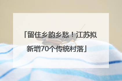 留住乡韵乡愁！江苏拟新增70个传统村落